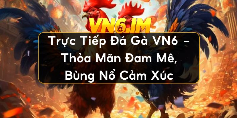 trực tiếp đá gà