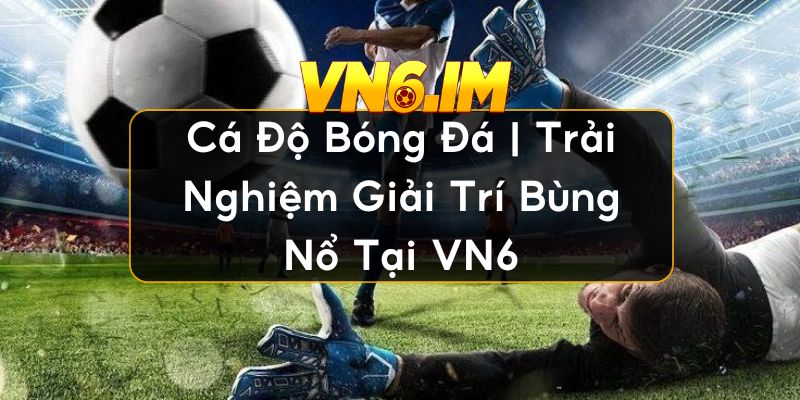 cá độ bóng đá