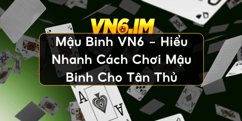 Mậu binh VN6