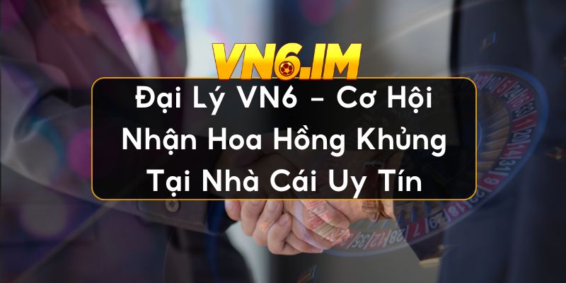 Đại lý VN6